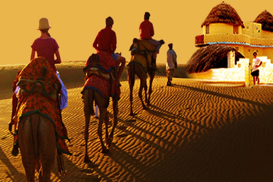 Golden Sands Safari